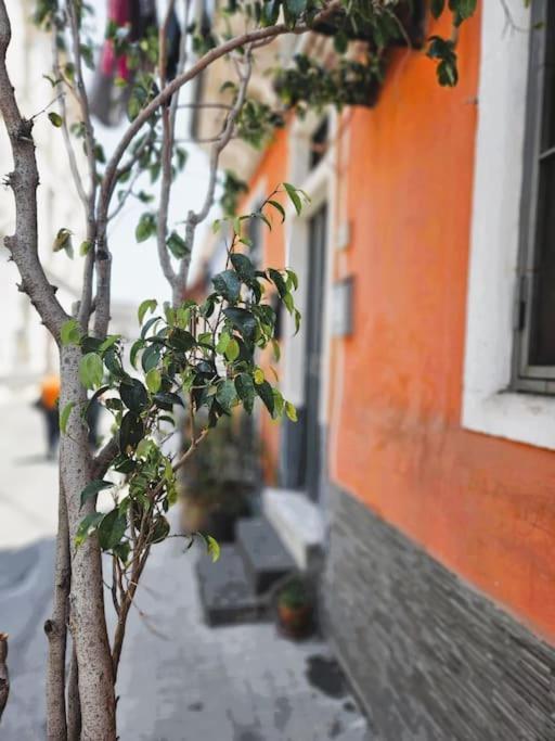Appartement Marisol Catane